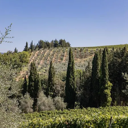 Malafrasca San Casciano in Val di Pesa